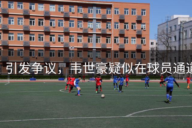 引发争议，韦世豪疑似在球员通道对河南球迷比“井盖”手势
