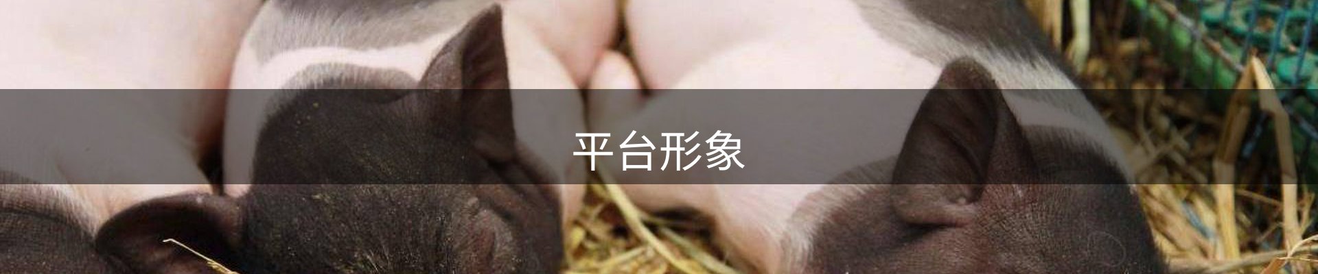 平台形象